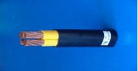 交聯聚乙烯絕緣電力電纜